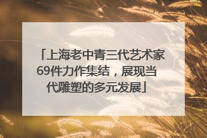 上海老中青三代艺术家69件力作集结，展现当代雕塑的多元发展