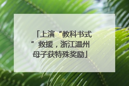 上演“教科书式”救援，浙江温州母子获特殊奖励
