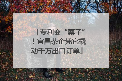 专利变“票子”！宜昌茶企凭它撬动千万出口订单