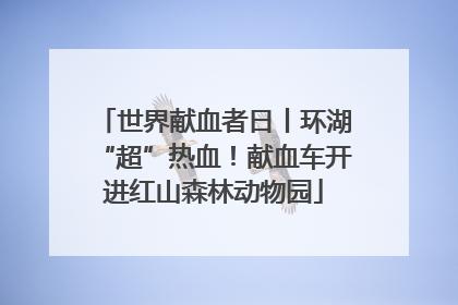 世界献血者日丨环湖“超”热血！献血车开进红山森林动物园