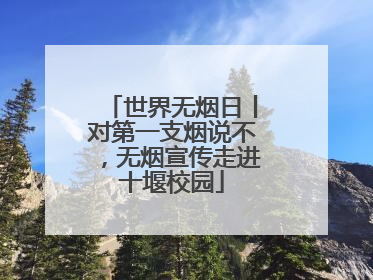 世界无烟日丨对第一支烟说不，无烟宣传走进十堰校园