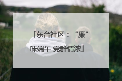 东台社区：“廉”味端午 党群情浓