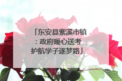 东安县紫溪市镇：政府暖心送考 护航学子逐梦路