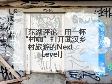 东湖评论：用一杯“村咖”打开武汉乡村旅游的Next Level