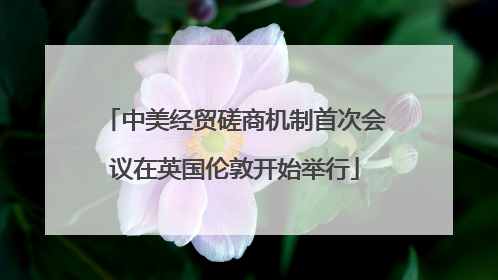 中美经贸磋商机制首次会议在英国伦敦开始举行
