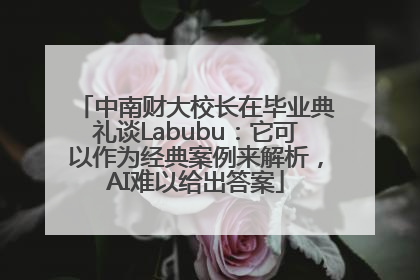 中南财大校长在毕业典礼谈Labubu：它可以作为经典案例来解析，AI难以给出答案