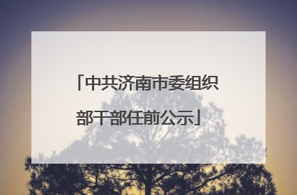 中共济南市委组织部干部任前公示