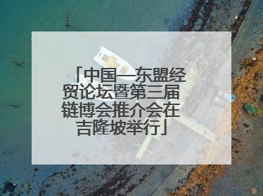 中国—东盟经贸论坛暨第三届链博会推介会在吉隆坡举行