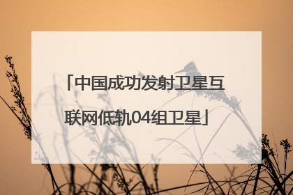 中国成功发射卫星互联网低轨04组卫星