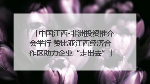 中国江西-非洲投资推介会举行 赞比亚江西经济合作区助力企业“走出去”