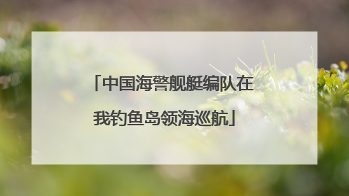 中国海警舰艇编队在我钓鱼岛领海巡航
