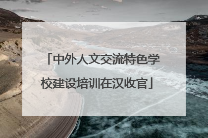 中外人文交流特色学校建设培训在汉收官