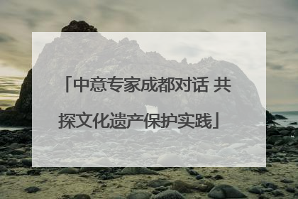 中意专家成都对话 共探文化遗产保护实践
