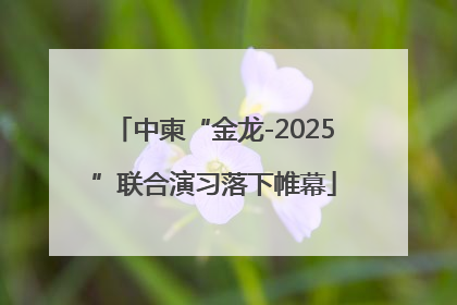 中柬“金龙-2025”联合演习落下帷幕