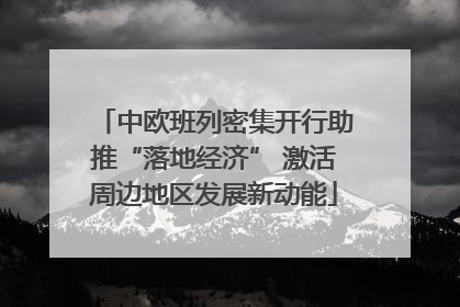中欧班列密集开行助推“落地经济” 激活周边地区发展新动能