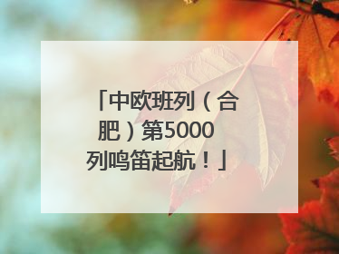 中欧班列（合肥）第5000列鸣笛起航！