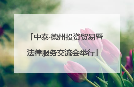 中泰·德州投资贸易暨法律服务交流会举行