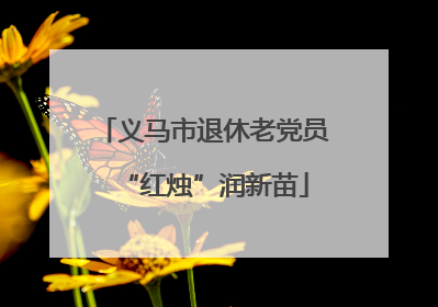 义马市退休老党员“红烛”润新苗