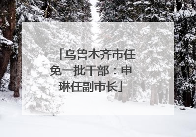 乌鲁木齐市任免一批干部：申琳任副市长