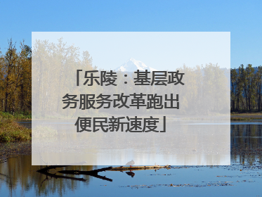 乐陵：基层政务服务改革跑出便民新速度