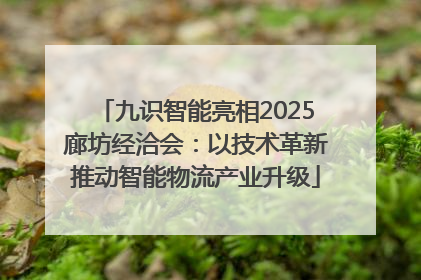 九识智能亮相2025廊坊经洽会：以技术革新推动智能物流产业升级