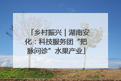乡村振兴｜湖南安化：科技服务团“把脉问诊”水果产业