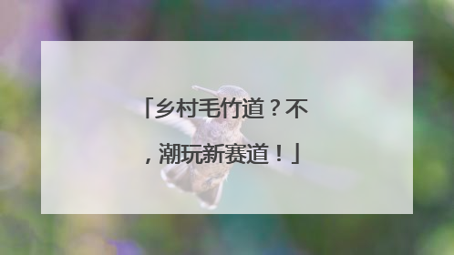乡村毛竹道？不，潮玩新赛道！