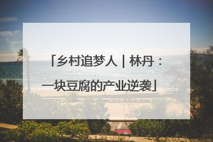 乡村追梦人｜林丹：一块豆腐的产业逆袭