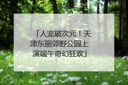 人宠破次元！天津东丽郊野公园上演端午奇幻狂欢