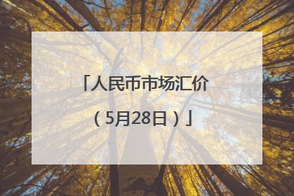 人民币市场汇价（5月28日）