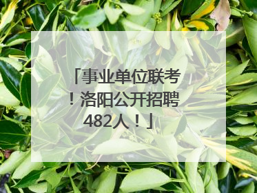 事业单位联考！洛阳公开招聘482人！