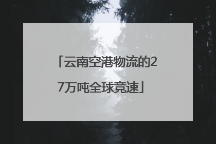云南空港物流的27万吨全球竞速