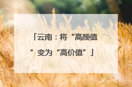 云南：将“高颜值”变为“高价值”
