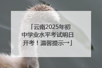 云南2025年初中学业水平考试明日开考！温馨提示→