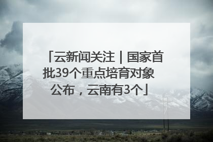 云新闻关注｜国家首批39个重点培育对象公布，云南有3个
