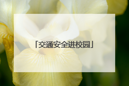 交通安全进校园