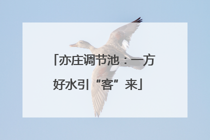 亦庄调节池：一方好水引“客”来
