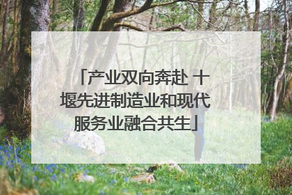 产业双向奔赴 十堰先进制造业和现代服务业融合共生