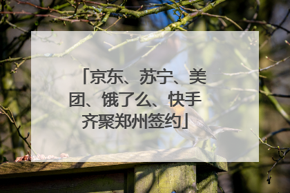京东、苏宁、美团、饿了么、快手齐聚郑州签约