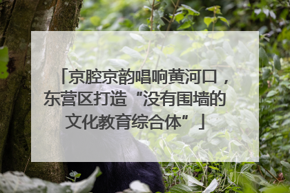 京腔京韵唱响黄河口，东营区打造“没有围墙的文化教育综合体”