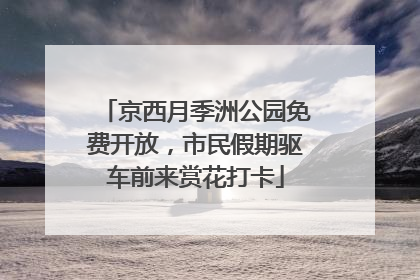 京西月季洲公园免费开放，市民假期驱车前来赏花打卡