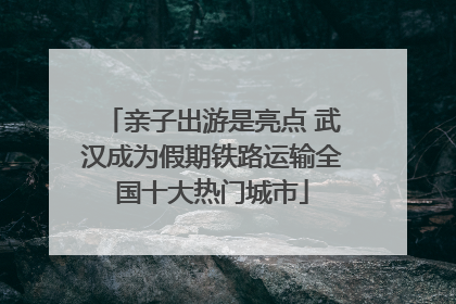 亲子出游是亮点 武汉成为假期铁路运输全国十大热门城市