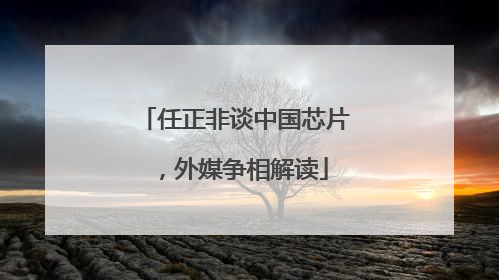 任正非谈中国芯片，外媒争相解读