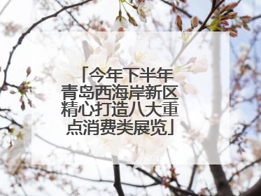 今年下半年 青岛西海岸新区精心打造八大重点消费类展览