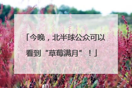 今晚，北半球公众可以看到“草莓满月”！
