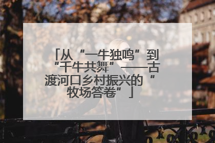 从“一牛独鸣”到“千牛共舞”——古渡河口乡村振兴的“牧场答卷”