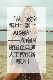 从“数字筑基”到“AI领航”——湖南国资国企竞速人工智能新赛道