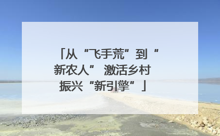 从“飞手荒”到“新农人” 激活乡村振兴“新引擎”