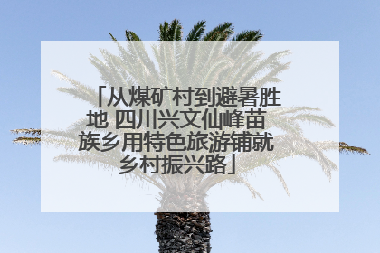 从煤矿村到避暑胜地 四川兴文仙峰苗族乡用特色旅游铺就乡村振兴路