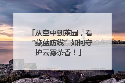 从空中到茶园，看“藏蓝防线”如何守护云雾茶香！